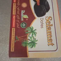 پخش خرما مضافتی جنوب