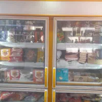 یخچال فریزر صنعتی ایستاده چهار در
