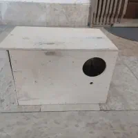 لونه پرنده