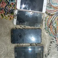 همه باهم ۲۵۰۰