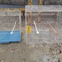 قفس|لوازم جانبی حیوانات|مشهد, طبرسی شمالی|دیوار