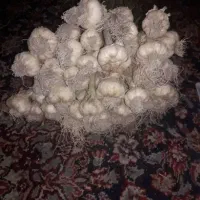 سیر رامهرمز