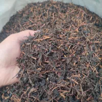 چای چوب درجه۱بهاره