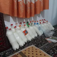 دوغ گوسفندی|خوردنی و آشامیدنی|بردسکن, |دیوار