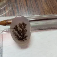 تک شاخه شجر