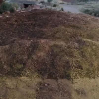 کود حیوانی‌گوسفند