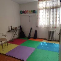 مربی موسیقی هستم، همکاری با آموزشگاهها و هنرجویان