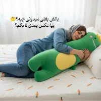 پخش عمده/بالش‌ بالشت/آغوشی عروسکی/تمام سنین