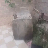 باک