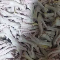 اسکلت مرغ و غذای حیوانات