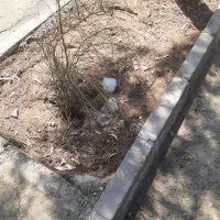 طبیعت گردی