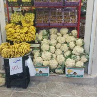 به نیروی کار مرد در میوه فروشی نیاز مندیم