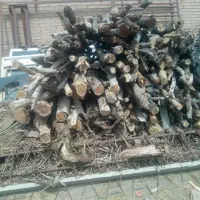 چوب کندن زمین بریدن درخت برش درخت قطع درخت