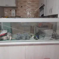آکواریوم
