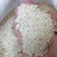 برنج خوش پخت ایرانی کشت مازندران درجه یک