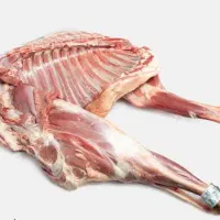 گوشت تازه