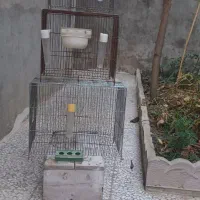قفس پرنده درسه سایز