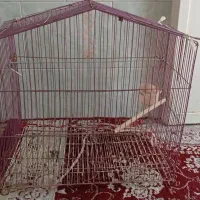 قفس بزرگو متوسط
