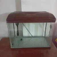 آکواریوم