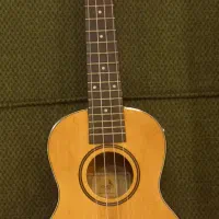 فروش مینی گیتار (اوکوله له)