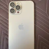 13 pro max