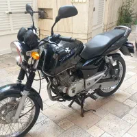 پالس ۸۸|موتورسیکلت|تهران, تولید دارو|دیوار