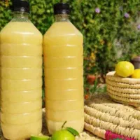 فروش روغن نیمه جامد لادن و آبلیمو