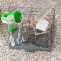 2 عدد قفس پرنده
