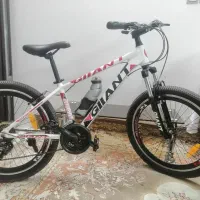 دوچرخه 24 نو نو