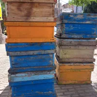 طبق و کندو زنبورعسل و سایر لوازم مرتبط