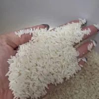 برنج|خوردنی و آشامیدنی|زیباکنار, |دیوار