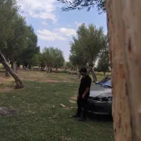 ام وی ام۳۱۵