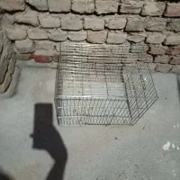 قفس|لوازم جانبی حیوانات|میاندوآب, |دیوار