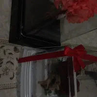 فروش گل تازه مومیایی شده