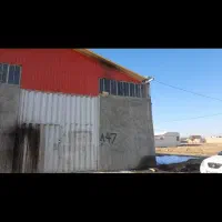 نیروی کار