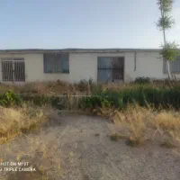 فروش زمین باغی برای سرمایه گذاری
