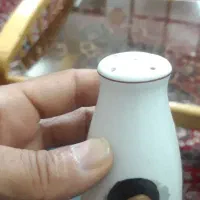 نمکدان عتیقه طرح امام خمینی هرعدد ۲۵۰ میلیون