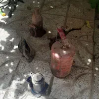 جک ماشین