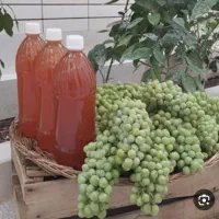 مواد غذایی