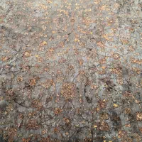 فرش نو|فرش|خمین, |دیوار