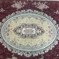قالی|فرش|بندر دیر, |دیوار