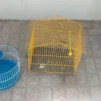 قفس پرنده