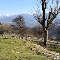 یک قطعه زمین مسکونی /۱۳۰ متری