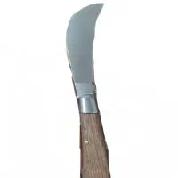 چاقو تیز