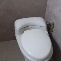 توالت فرنگی