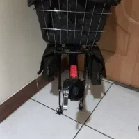 ترک بند سگ