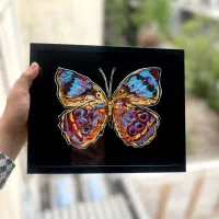نقاشی پروانه ،تابلو نقاشی