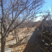 باغچه-ویلایی-عرب-آباد