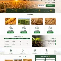 طراحی سایت با کدنویسی به قیمت وردپرس