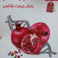 کتاب کار پایه هشتم